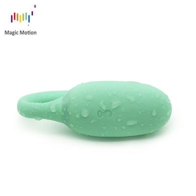 Смарт-тренажер Кегеля Magic Motion Kegel Rejuve, бюджетний варіант, для тренувань і задоволення