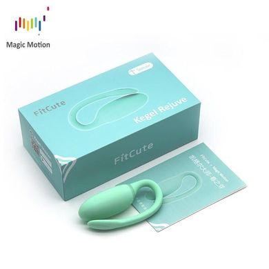 Смарт-тренажер Кегеля Magic Motion Kegel Rejuve, бюджетний варіант, для тренувань і задоволення